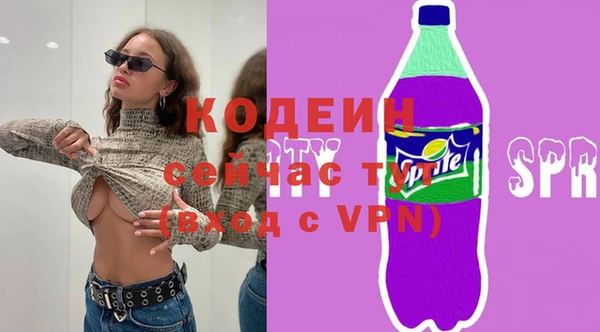 хмурый Арсеньев