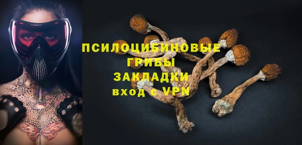 круглые Аркадак