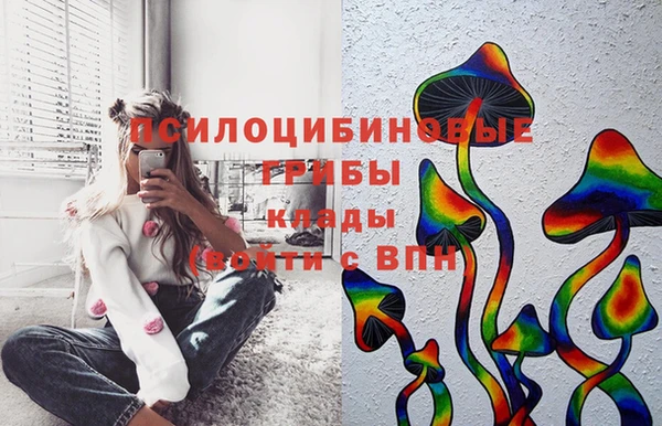 2c-b Армянск