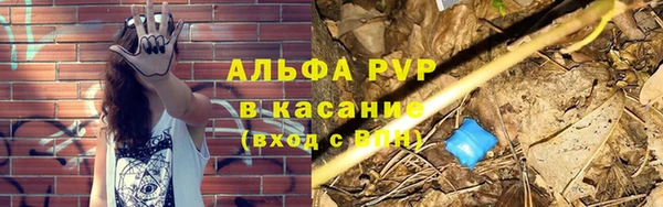 круглые Аркадак