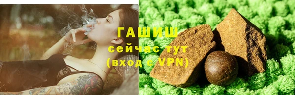 хмурый Арсеньев