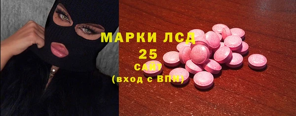 хмурый Арсеньев