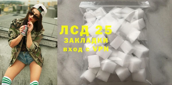 хмурый Арсеньев